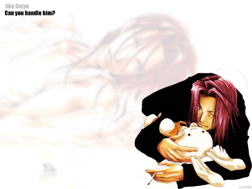 Can you handle Sha Gojyo?