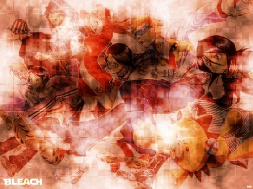 Bleach Group