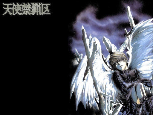 The Lost Angel: Setsuna