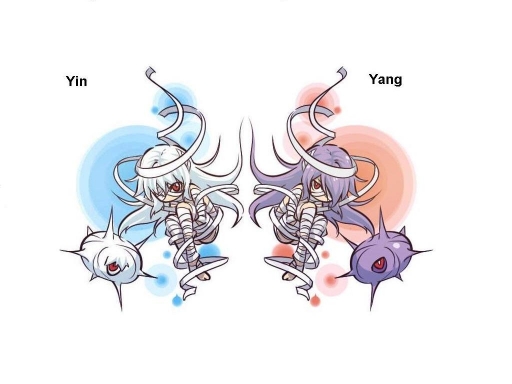 Yin and Yang Silcoon Cascoon