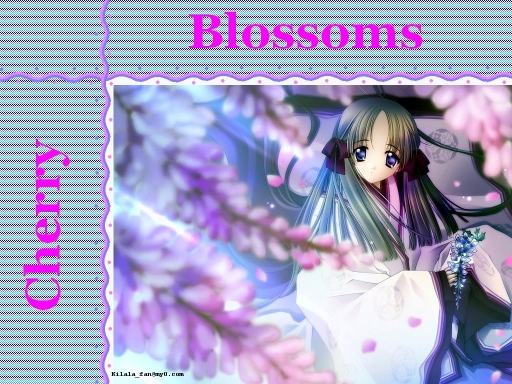 Cherry Blossums