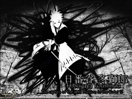 Hitsugaya Toushiro!