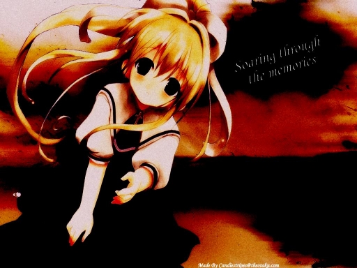 Soaring Through The Memories