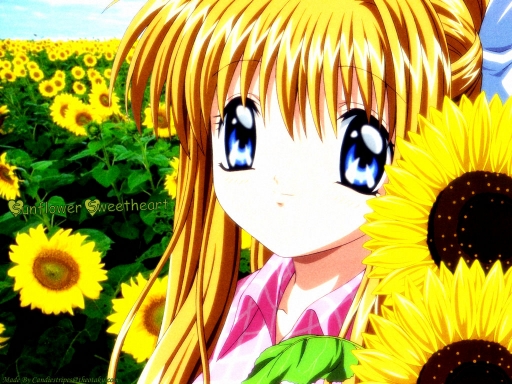 Sunflower Sweetheart~
