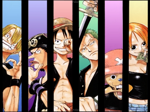Team of straw hat