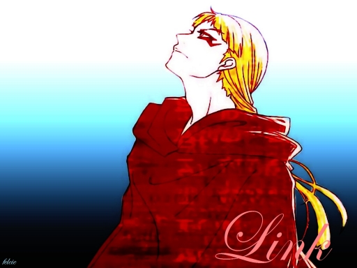 Crows always watch the sky