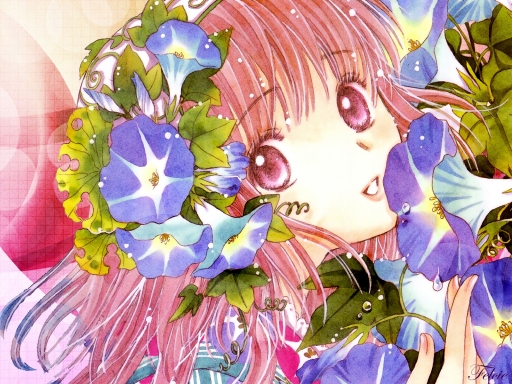 Kobato's flowers