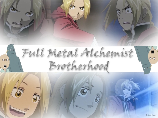 fma brotherhood