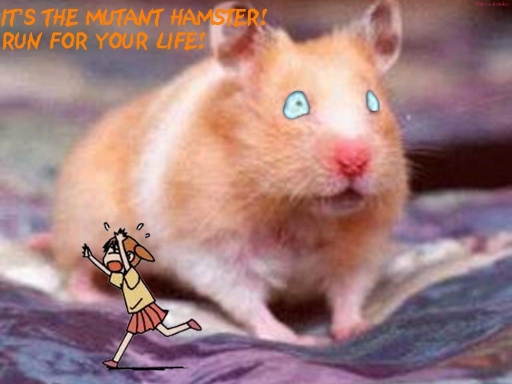 Hamsters are coming
