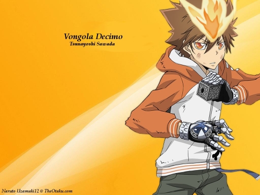 Vongola Decimo