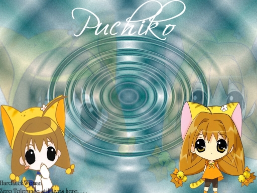 Puchiko