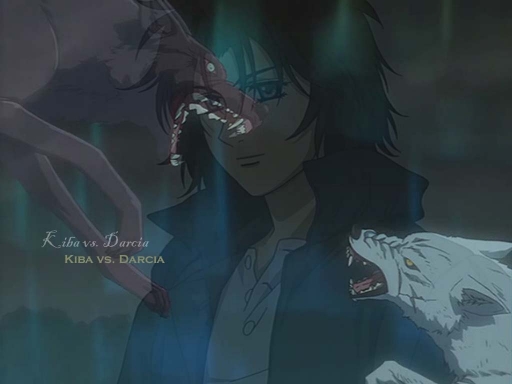 Kiba vs. Darcia