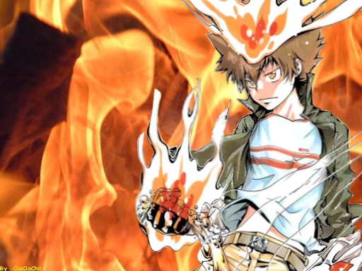 Katekyo Hitman Reborn