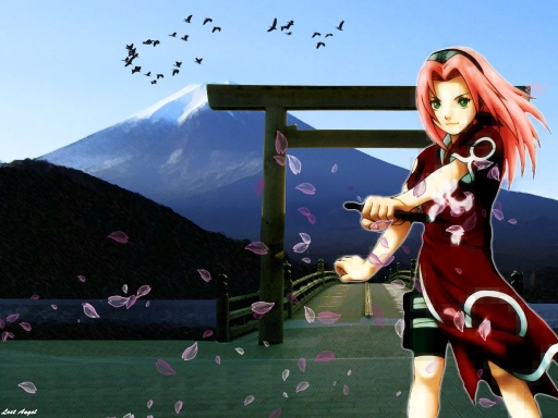 Sakura