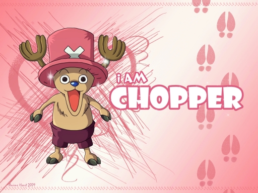 I am Chopper !!