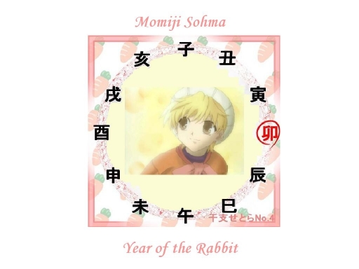 Year Of The Rabbit