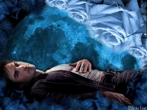 Damon's Blue Moon Garden