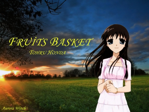 fruits basket