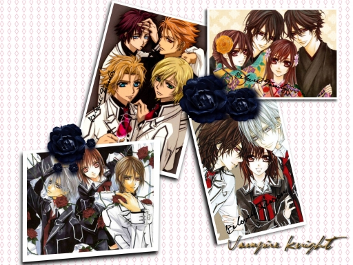Vampire Knight Photo