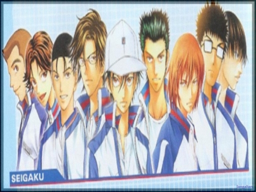 Seigaku