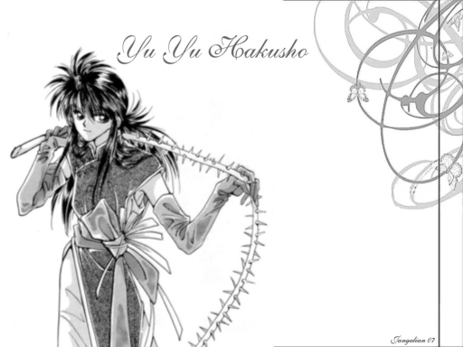 Yu Yu Hakusho