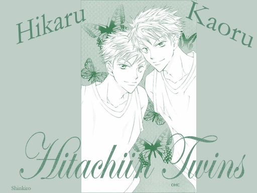 Hitachiin Twins