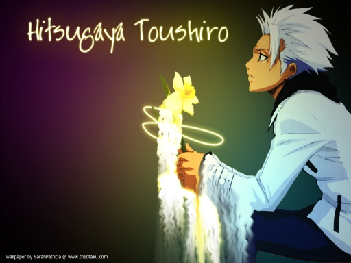 Toshiro v1