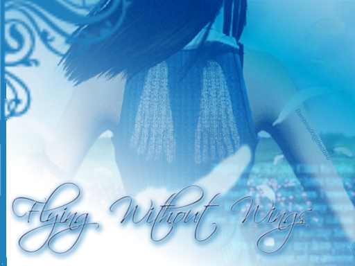 Flying Without Wings