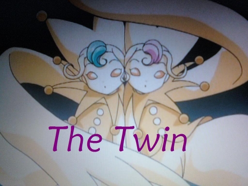The Twin
