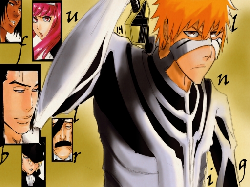 Ichigo's fullbring