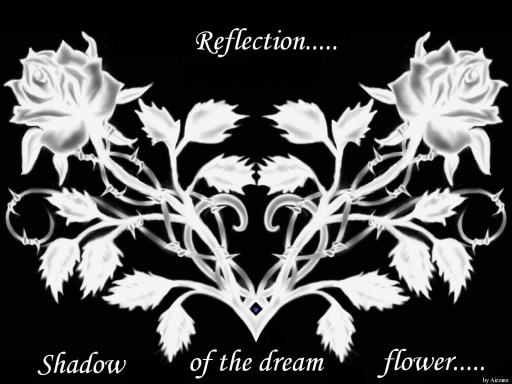 Dream Flower: Rose_Reflection
