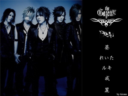 the GazettE: DIM