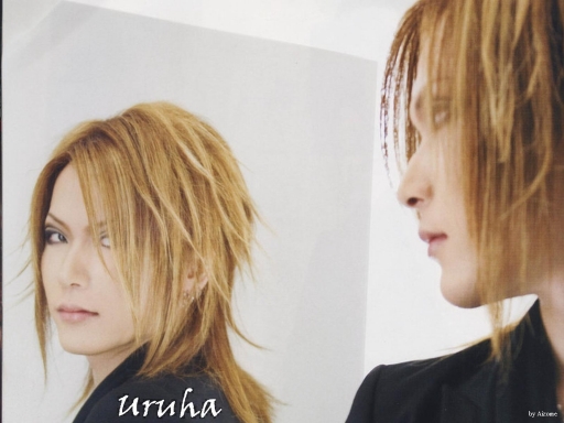 Uruha: reflection