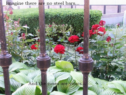 ~Roses~