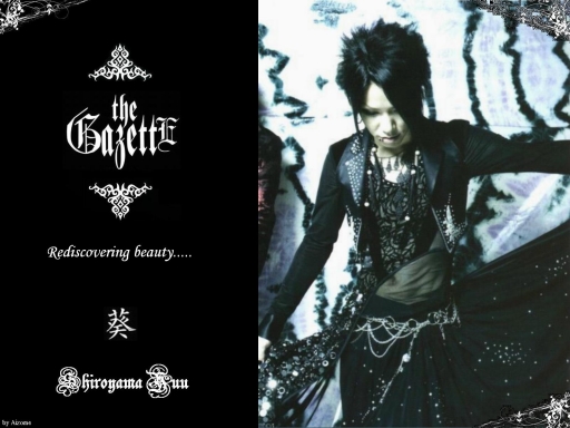 Rediscovering Beauty