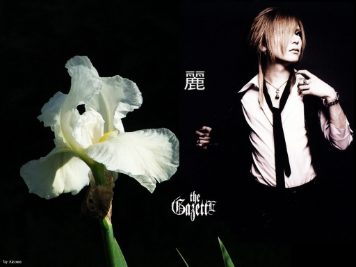 Uruha: White iris