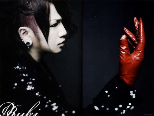 Ruki~mirrors