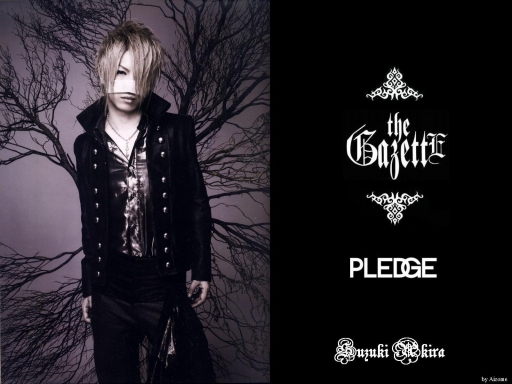 PLEDGE~Reita
