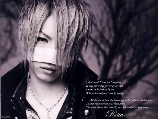 PLEDGE - Reita
