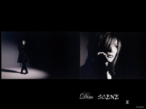 DIMSCENE
