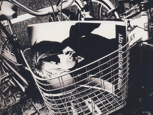 FROM THE DISTORTED CITY