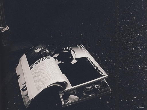 FROM THE DISTORTED CITY