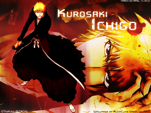 Kurosaki....Ichigo