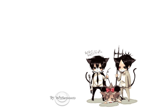 Hibari & Mokuro vs. Tsuna