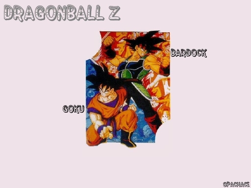 Goku and Bardock