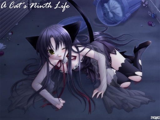 Cat's Ninth Life