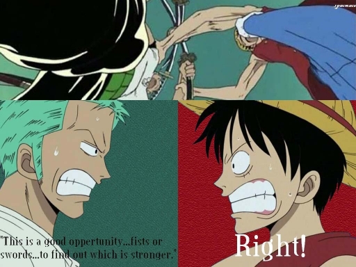 Zoro Vs Luffy