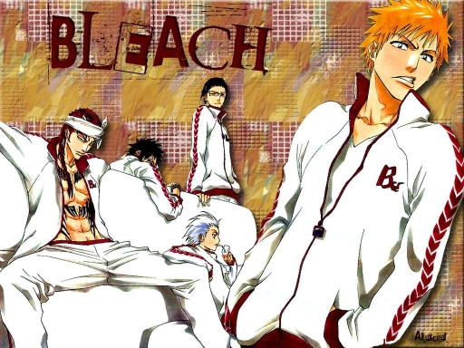 Bleach Boys