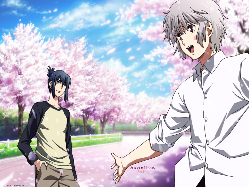 Cherry Blossom Trees