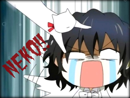 neko attack